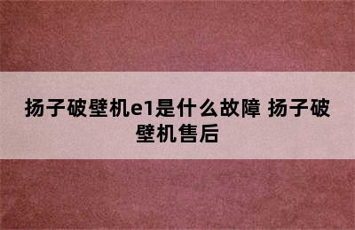 扬子破壁机e1是什么故障 扬子破壁机售后